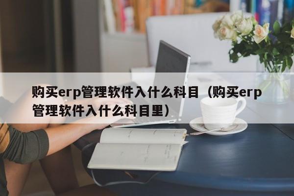 购买erp管理软件入什么科目（购买erp管理软件入什么科目里）