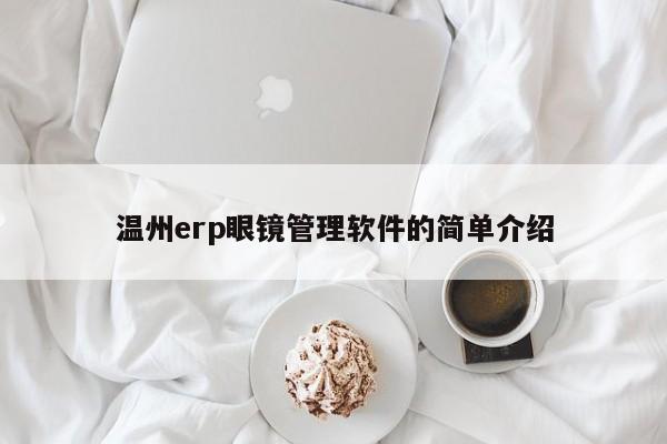 温州erp眼镜管理软件的简单介绍