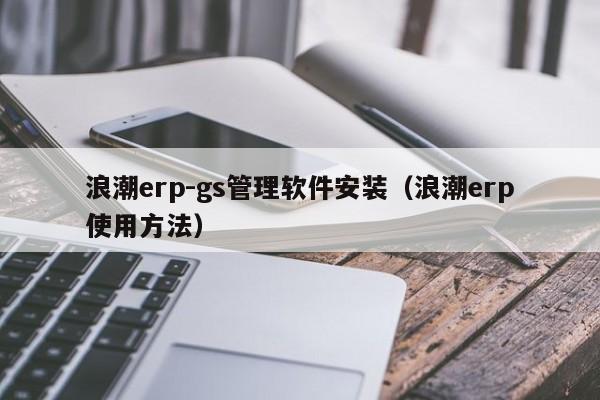 浪潮erp-gs管理软件安装（浪潮erp使用方法）