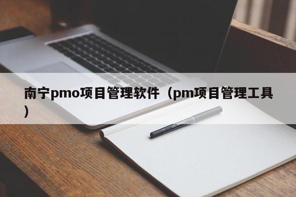 南宁pmo项目管理软件（pm项目管理工具）