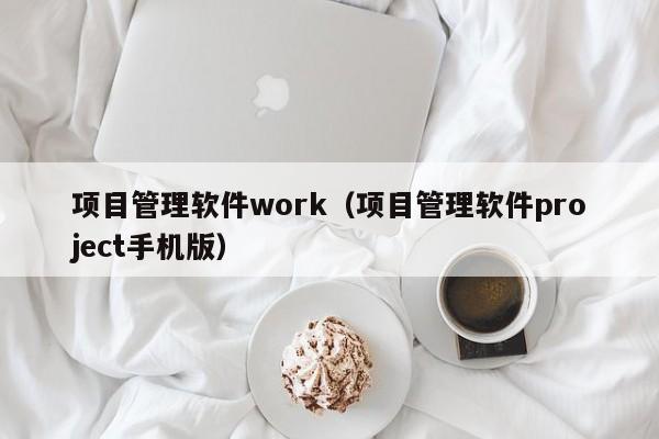 项目管理软件work（项目管理软件project手机版）