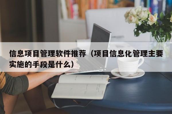 信息项目管理软件推荐（项目信息化管理主要实施的手段是什么）