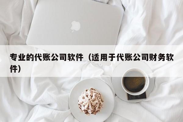 专业的代账公司软件（适用于代账公司财务软件）