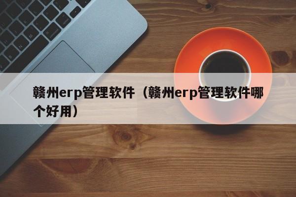 赣州erp管理软件（赣州erp管理软件哪个好用）