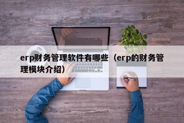 erp财务管理软件有哪些（erp的财务管理模块介绍）