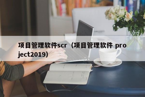 项目管理软件scr（项目管理软件 project2019）