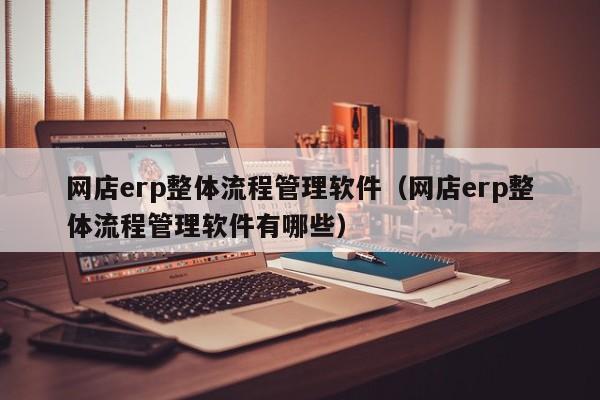 网店erp整体流程管理软件（网店erp整体流程管理软件有哪些）