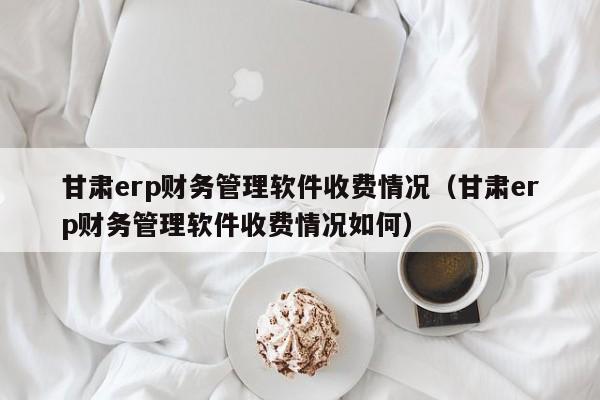 甘肃erp财务管理软件收费情况（甘肃erp财务管理软件收费情况如何）