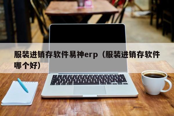 服装进销存软件易神erp（服装进销存软件哪个好）