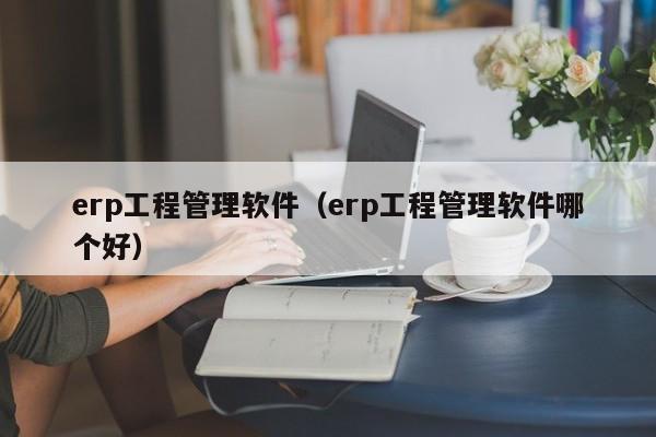 erp工程管理软件（erp工程管理软件哪个好）