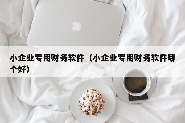 小企业专用财务软件（小企业专用财务软件哪个好）