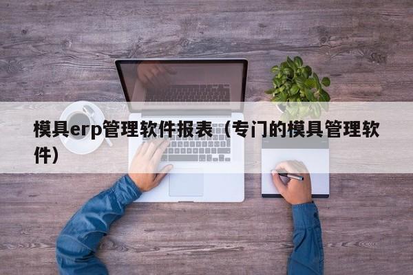 模具erp管理软件报表（专门的模具管理软件）