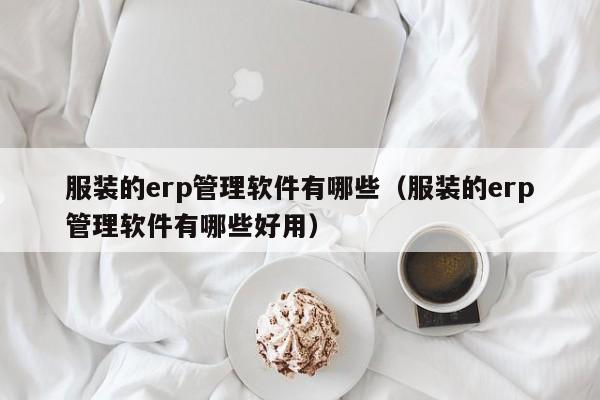 服装的erp管理软件有哪些（服装的erp管理软件有哪些好用）