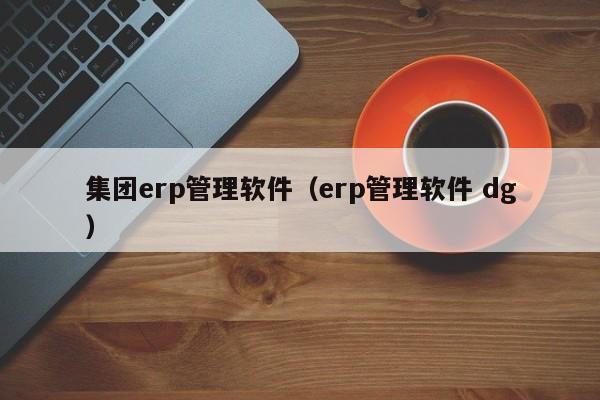 集团erp管理软件（erp管理软件 dg）