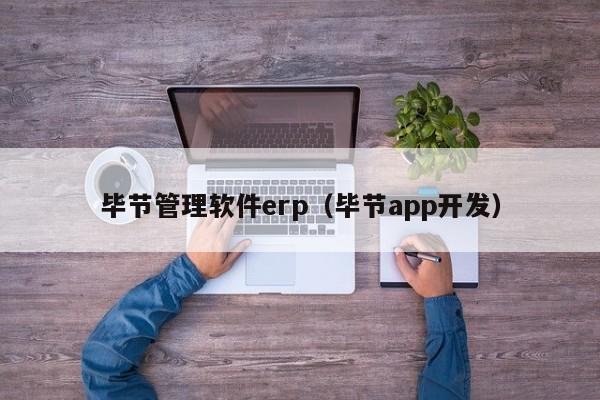 毕节管理软件erp（毕节app开发）