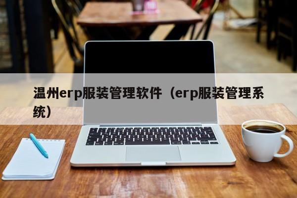 温州erp服装管理软件（erp服装管理系统）