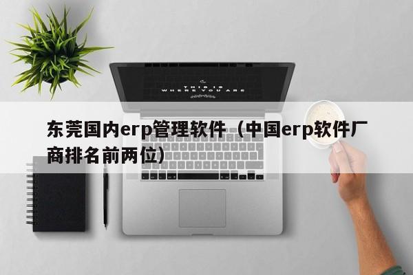 东莞国内erp管理软件（中国erp软件厂商排名前两位）