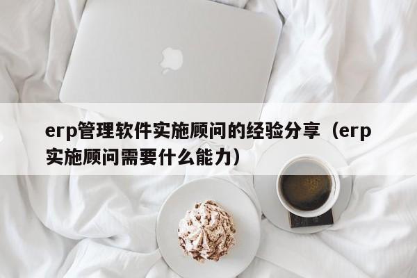 erp管理软件实施顾问的经验分享（erp实施顾问需要什么能力）