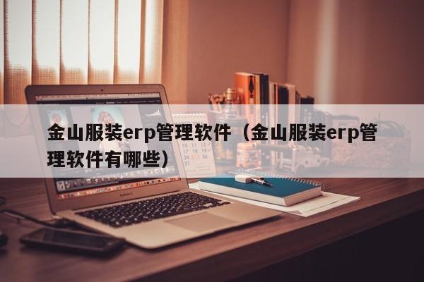 金山服装erp管理软件（金山服装erp管理软件有哪些）