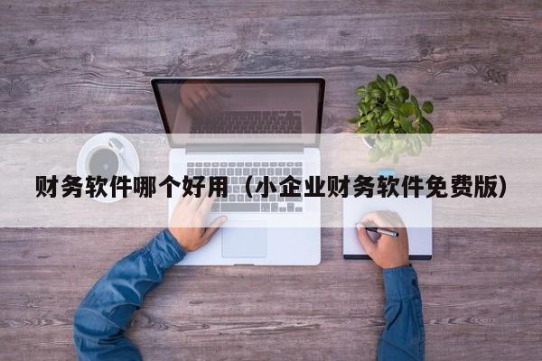 财务软件哪个好用（小企业财务软件免费版）