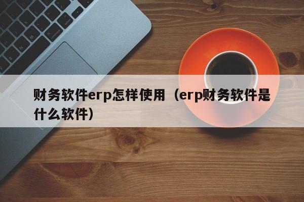 财务软件erp怎样使用（erp财务软件是什么软件）