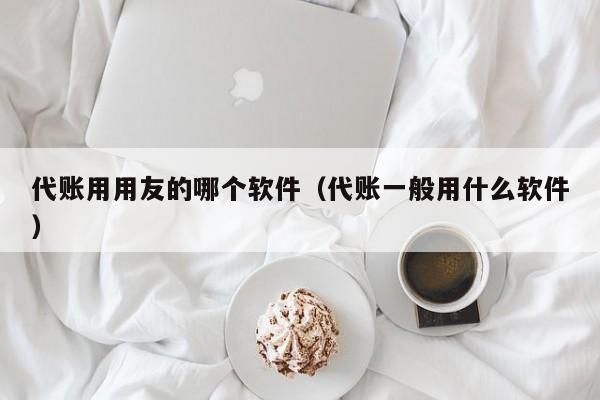 代账用用友的哪个软件（代账一般用什么软件）