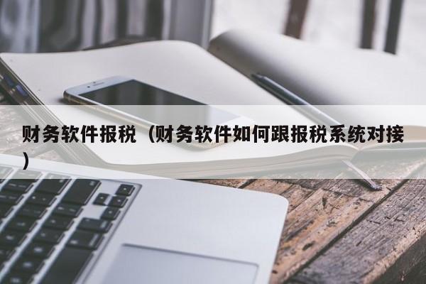 财务软件报税（财务软件如何跟报税系统对接）