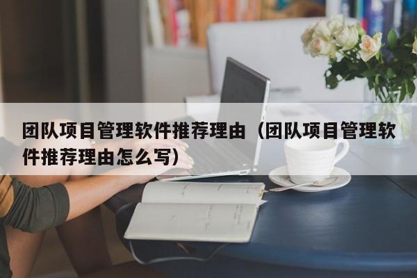 团队项目管理软件推荐理由（团队项目管理软件推荐理由怎么写）