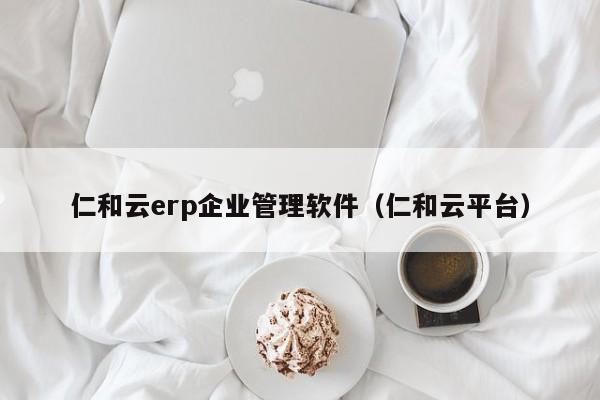 仁和云erp企业管理软件（仁和云平台）