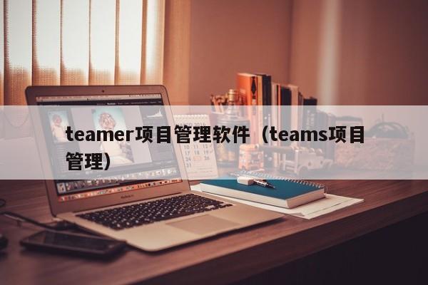 teamer项目管理软件（teams项目管理）