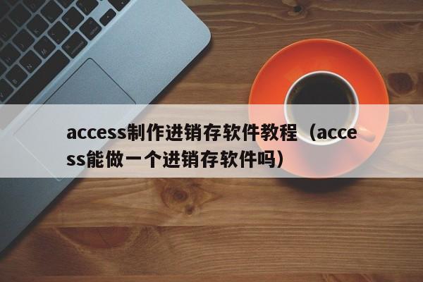 access制作进销存软件教程（access能做一个进销存软件吗）