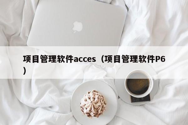 项目管理软件acces（项目管理软件P6）