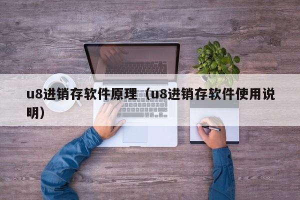 u8进销存软件原理（u8进销存软件使用说明）