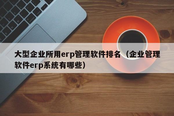 大型企业所用erp管理软件排名（企业管理软件erp系统有哪些）