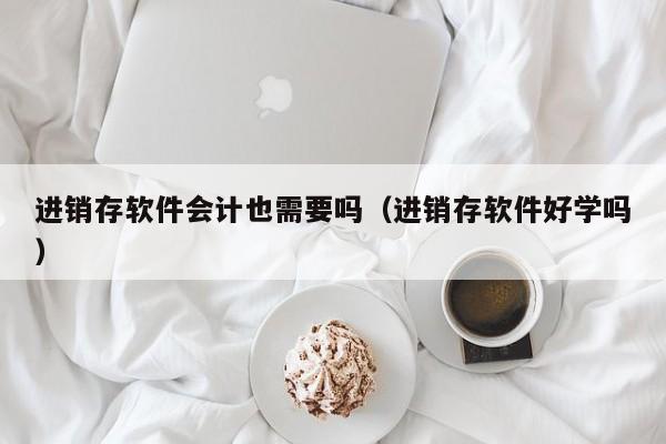 进销存软件会计也需要吗（进销存软件好学吗）