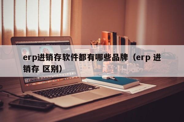 erp进销存软件都有哪些品牌（erp 进销存 区别）