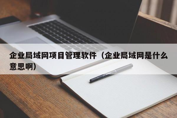 企业局域网项目管理软件（企业局域网是什么意思啊）