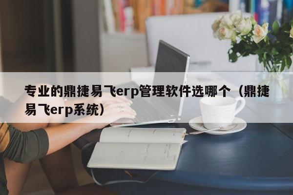 专业的鼎捷易飞erp管理软件选哪个（鼎捷易飞erp系统）