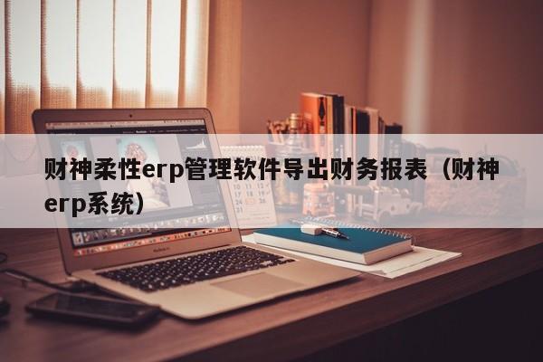 财神柔性erp管理软件导出财务报表（财神erp系统）