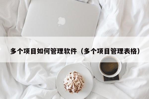 多个项目如何管理软件（多个项目管理表格）