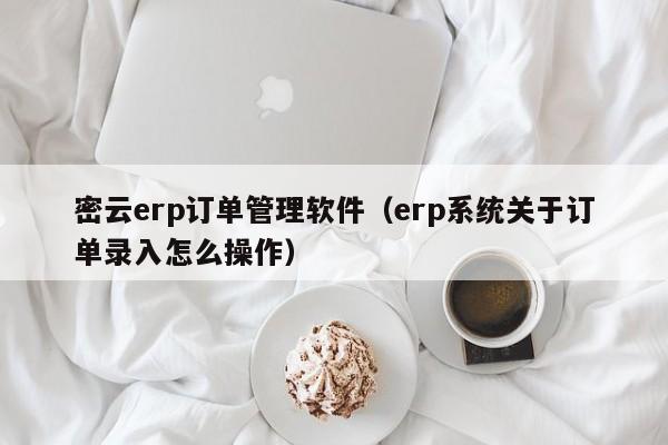 密云erp订单管理软件（erp系统关于订单录入怎么操作）