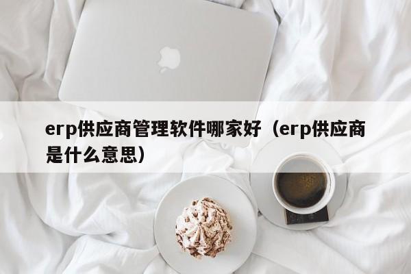 erp供应商管理软件哪家好（erp供应商是什么意思）