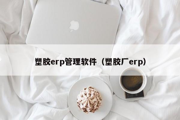 塑胶erp管理软件（塑胶厂erp）