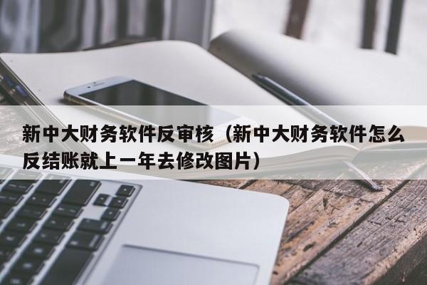 新中大财务软件反审核（新中大财务软件怎么反结账就上一年去修改图片）