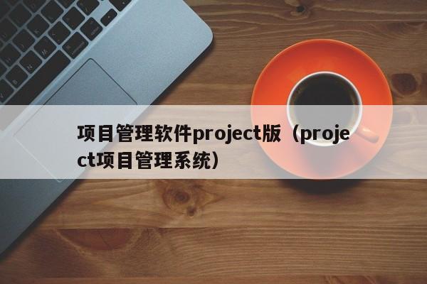 项目管理软件project版（project项目管理系统）