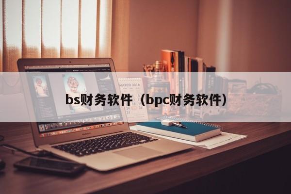 bs财务软件（bpc财务软件）