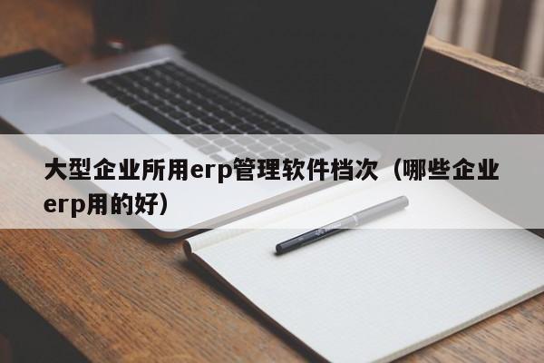 大型企业所用erp管理软件档次（哪些企业erp用的好）