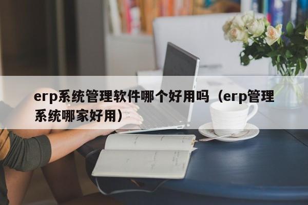 erp系统管理软件哪个好用吗（erp管理系统哪家好用）