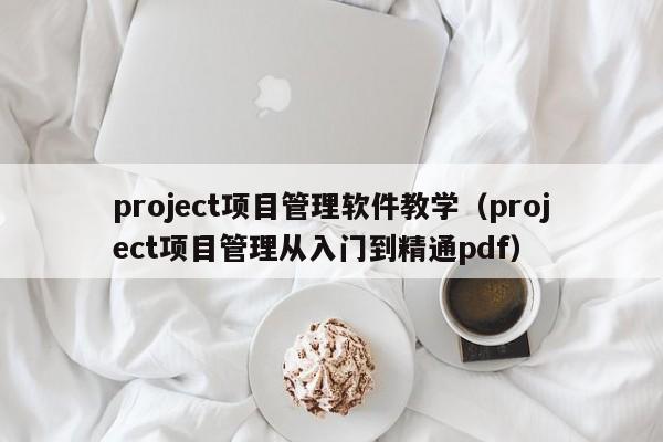 project项目管理软件教学（project项目管理从入门到精通pdf）