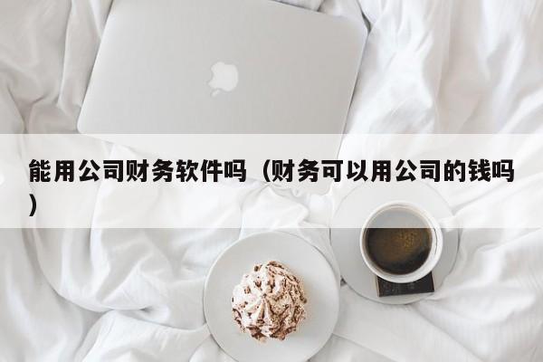 能用公司财务软件吗（财务可以用公司的钱吗）